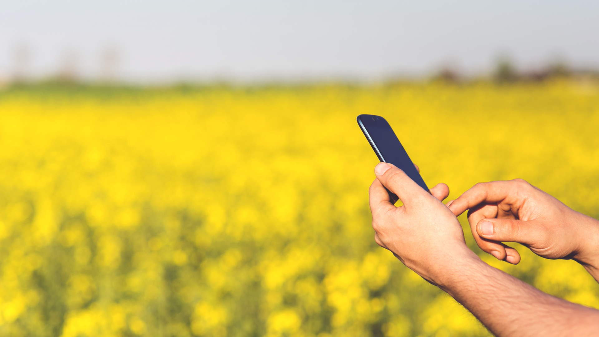 Speak with an Agribusiness Finance broker
